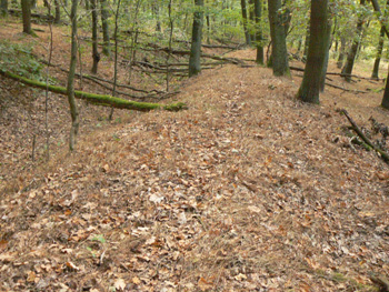 Wall