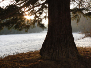 im Winter