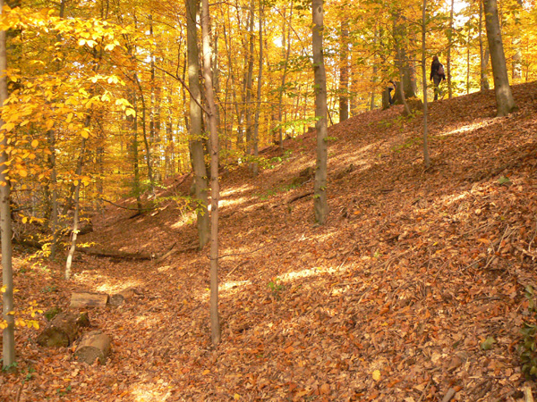 Der Wolfsgraben im Herbst